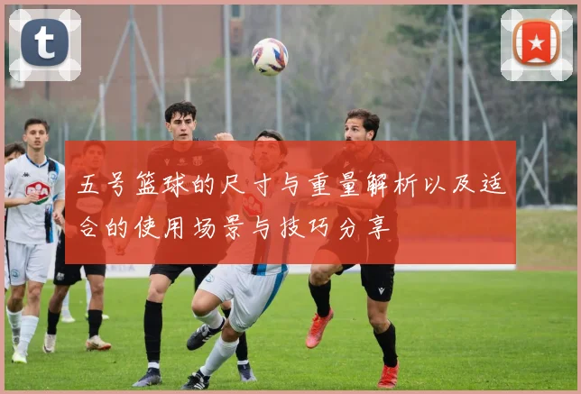 五号篮球的尺寸与重量解析以及适合的使用场景与技巧分享