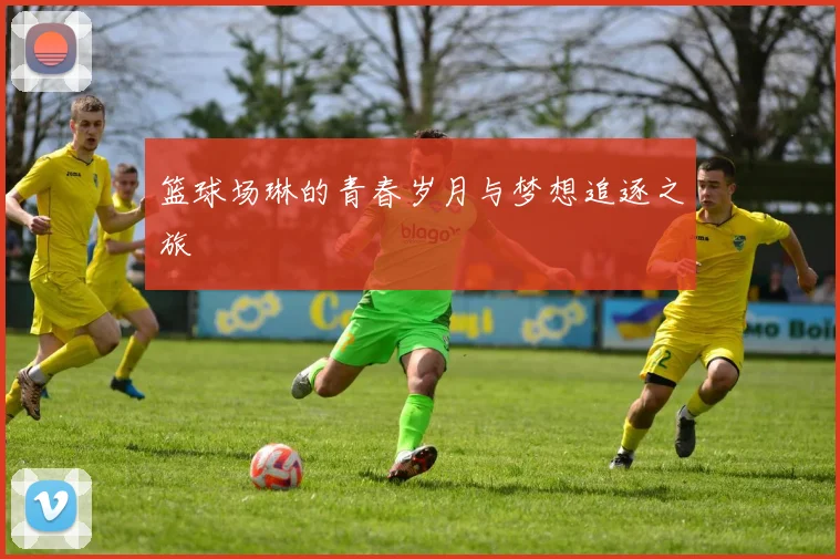 篮球场琳的青春岁月与梦想追逐之旅