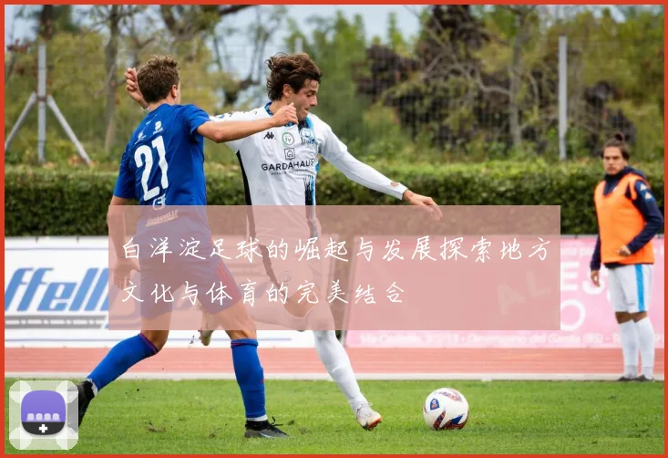 白洋淀足球的崛起与发展探索地方文化与体育的完美结合