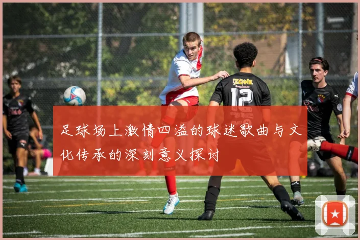 足球场上激情四溢的球迷歌曲与文化传承的深刻意义探讨