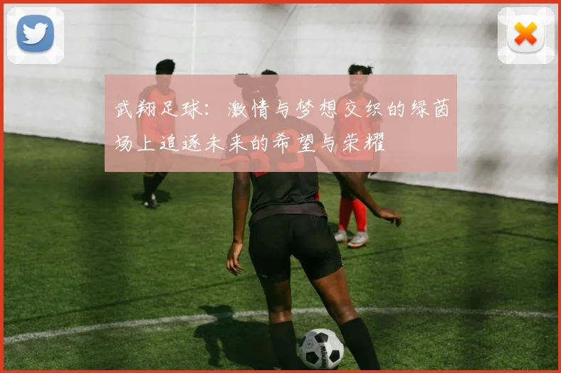 武翔足球：激情与梦想交织的绿茵场上追逐未来的希望与荣耀