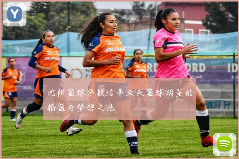 沈阳篮球学校培养未来篮球明星的摇篮与梦想之地