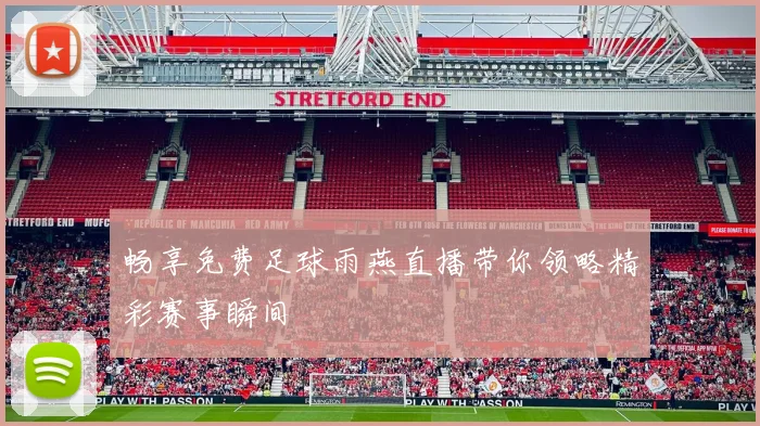 畅享免费足球雨燕直播带你领略精彩赛事瞬间