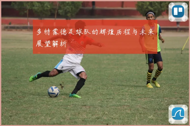 多特蒙德足球队的辉煌历程与未来展望解析