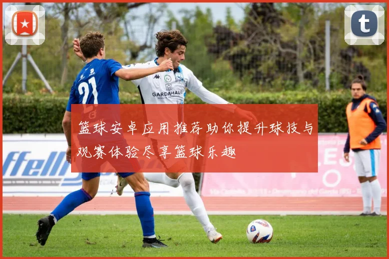 篮球安卓应用推荐助你提升球技与观赛体验尽享篮球乐趣