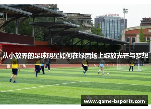 从小放养的足球明星如何在绿茵场上绽放光芒与梦想